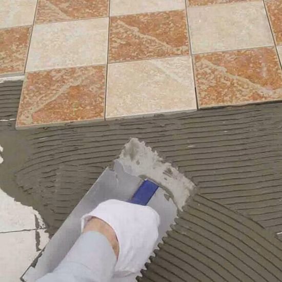 Profession Since 1005