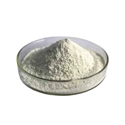 Quick Setting Accelerator Powder for Highway/Concrete Hardener Additive Admixture